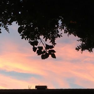 Meet your Posher, Saxon